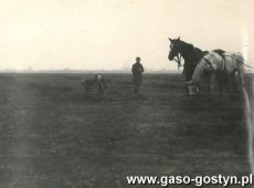 6192.Zbiorka ziemniakow przez uczniow Szkoly Podstawowej w Bodzewie na polu miejscowego PGR-u (wrzesien 1969 r.)