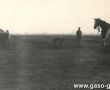 6192.Zbiorka ziemniakow przez uczniow Szkoly Podstawowej w Bodzewie na polu miejscowego PGR-u (wrzesien 1969 r.)