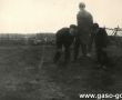6194.Zbiorka ziemniakow przez uczniow Szkoly Podstawowej w Bodzewie na polu miejscowego PGR-u (wrzesien 1969 r.)