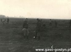 6195.Zbiorka ziemniakow przez uczniow Szkoly Podstawowej w Bodzewie na polu miejscowego PGR-u (wrzesien 1969 r.)