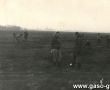 6195.Zbiorka ziemniakow przez uczniow Szkoly Podstawowej w Bodzewie na polu miejscowego PGR-u (wrzesien 1969 r.)