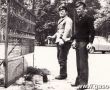 6198.Nadlesnictwo w Piaskach - prace porzadkowe w 1977 roku