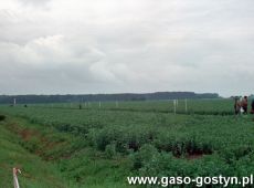6201.Dni Pola w Szelejewie zorganizowane przez miejscowa Stacje Hodowli Roslin (1993 r.)