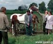 6203.Dni Pola w Szelejewie zorganizowane przez miejscowa Stacje Hodowli Roslin (1993 r.)