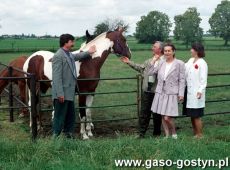 6204.Dni Pola w Szelejewie zorganizowane przez miejscowa Stacje Hodowli Roslin (1993 r.)