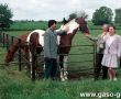 6204.Dni Pola w Szelejewie zorganizowane przez miejscowa Stacje Hodowli Roslin (1993 r.)