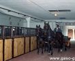 6219.Dni Pola w Szelejewie zorganizowane przez miejscowa Stacje Hodowli Roslin (1993 r.)