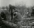 6250.Wiosenny czyn spoleczny rodzicow, nauczycieli i uczniow Szkoly Podstawowej w Bodzewie z okazji 30-lecia Polski Ludowej (1974 r.)