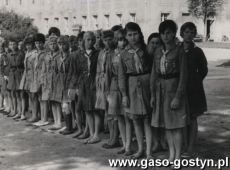 6267.Kolonia zuchowa Hufca Gostyn w Rydzynie (1965 r.)