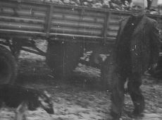 6284.Zbior burakow w Czachorowie, na polu nalezacym do Kombinatu PGR Gola (1978 r.) - Tadeusz Mrug (kierownik zakladu)