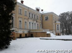 6415.Palac w Kosowie (2009 r.).JPG