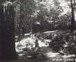 6463.Cmentarz Braci Bonifratrow w Marysinie