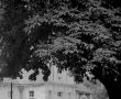 6469.Dwor w Cichowie wybudowany w 1908 roku dla Bukowieckich wedlug projektu Rogera Slawskiego na zdjeciu z 1982 roku.JPG