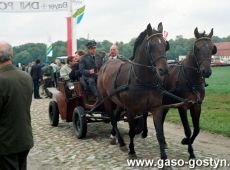 6479.Dni Pola w Szelejewie (1993 r.)