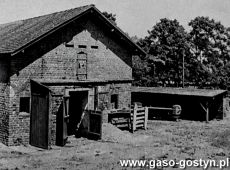 6524.Panstwowe Gospodarstwo Rolne w Goli (poczatek lat 50. XX wieku)