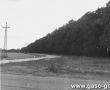 6553.Widok od strony szosy na aleje lipowa zalozona na poczatku XX wieku (ok. 1988 r.)