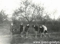 6554.Uczennice Szkoly Podstawowej w Bodzewie przy budowie szkolnego boiska sportowego (1966 r.)