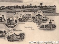 6565.Borek - pocztowka z dwudziestolecia miedzywojennego