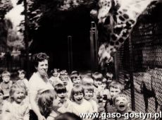 6579.Dzieci z Przedszkola nr 1 w Gostyniu na wycieczce w poznanskim ZOO (1984 r.)