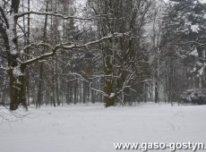 6591.Park przy palacu w Kosowie w zimowej scenrii w 2009 roku.JPG