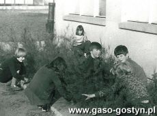 667.Porzadkowanie terenu Szkoly Podstawowej nr 2 w Gostyniu (1977 r.)