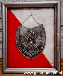 7. Ryngraf znaleziony pod koniec 2016 roku w Gostyniu