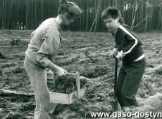 707.Sadzenie lasu przez uczniow Szkoly Podstawowej nr 2 w Gostyniu