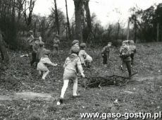 7203. „Biedronki” – druzyna zuchow z Przedszkola nr 2 w Gostyniu (1972 r.)