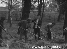 7262.Czyn spoleczny w parku przy ulicy Strzeleckiej w Gostyniu