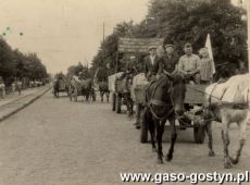 7356.Obowiazkowa dostawa plodow rolnych przez rolnikow z powiatu gostynskiego - ok. 1950  r.