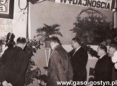 7647.Wystawa ogrodnicza w Gostyniu