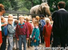 7660.Dzieci z Przedszkola nr 2 w Gostyniu na wycieczce w poznanskim ogrodzie zoologicznym (1993 r.)