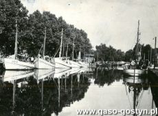 7871.Leba - miejsce obozu Blekitnej 8 im. J.Kilinskiego przy Cechu Rzemiosl Roznych w Gostyniu (1959 r.)