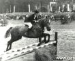 7942.Stadion w Gostyniu - zawody hippiczne podczas wystawy rolniczej (1969 r.)