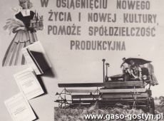 8208.Wystawa Rolnicza w Gostyniu z okazji 10-lecia Polski Ludowej (1954 r.)