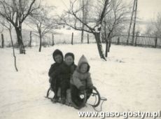 8432.Na sankach w ogrodzie panstwa Szuminskich w Gostyniu