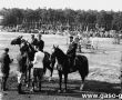 846.Zawody konne w skokach przez przeszkody na boisku przy Hucie Szkla w Gostyniu (lipiec 1954 r.)