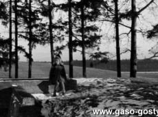 8528.Nad basenem na Pozegowie (1951 r.), obecnie akwen jest poddawany rewitalizacji