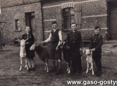 8544. Gospodarstwo Sobierajskich przy ulicy Nad Kania w Gostyniu