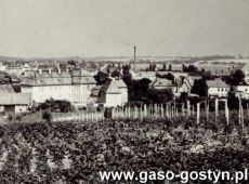 8605.Panorama Gostynia