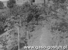 873.Dom przy Bergstrasse 3 (Gorna) w Gostyniu (maj 1942 r.)-widok od podworza