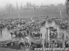 8751.Plac przy Gorze Zamkowej w Gostyniu - manifestacja pierwszomajowa (1 maja 1984 r.).JPG