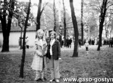 8773.Festyn pierwszomajowy w parku przy Powiatowym Domu Kultury przy ulicy Strzeleckiej w Gostyniu (1 maja 1971 r.).JPG