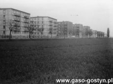 8780.Bloki Spoldzielni Mieszkaniowej w Gostyniu (poczatek lat 70. XX wieku).JPG