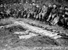 8801.Czlonkowie Kola Lowieckiego Drop Gostyn po polowaniu hubertowskim (1988 r.).JPG