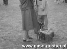 8832.Wspolny oboz w Brzedni harcerzy Hufca Gostyn i druzyny siatkarskiej juniorow MZKS Kania (1985 r.).JPG