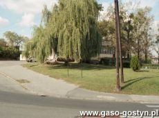 9004.Wierzba przed Gostynskim Osrodkiem Kultury Hutnik (lata 90. XX wieku)