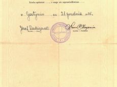 904.Swiadectwo Prywatnego Gimnazjum  Koedukacyjnego Ziemi Gostynskiej w Gostyniu (1935 r.)