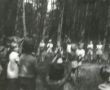 9197.Wycieczka do lasu dzieci z Przedszkola nr 2 w Gostyniu zorganizowana z okazji Dnia Dziecka (1 czerwca 1973 r.)