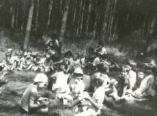 9198.Wycieczka do lasu dzieci z Przedszkola nr 2 w Gostyniu zorganizowana z okazji Dnia Dziecka (1 czerwca 1973 r.)